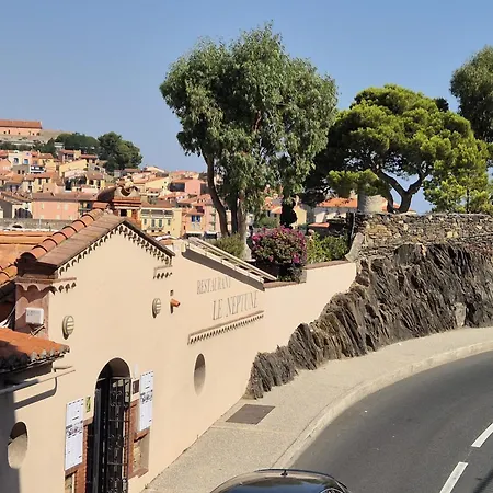 T2 A 50m De La A - Fr-1-309-407 Lejlighed Collioure